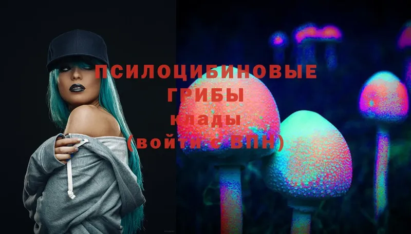 Псилоцибиновые грибы Psilocybe  где продают   Борисоглебск 